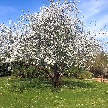 Le Jardin Des Sources 3* La Hulpe