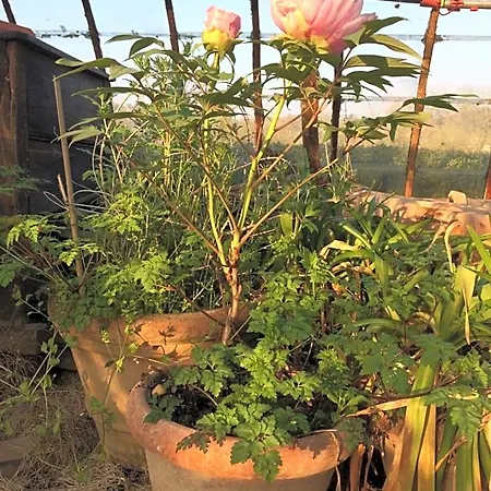 Le Jardin Des Sources La Hulpe