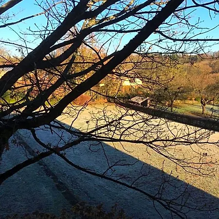 Le Jardin Des Sources Bed and breakfast La Hulpe