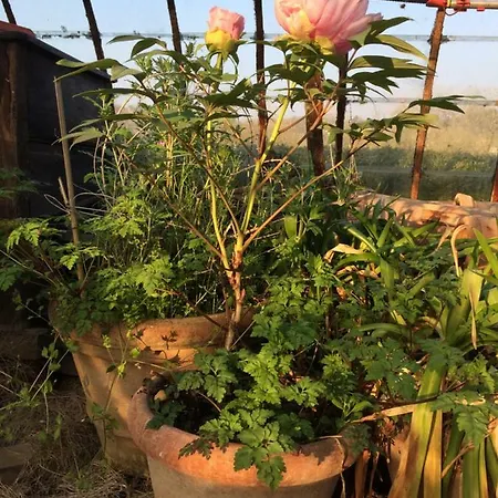 Le Jardin Des Sources ベッド・アンド・ブレックファスト 3*