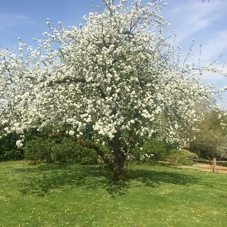 Bed and Breakfast Le Jardin Des Sources La Hulpe