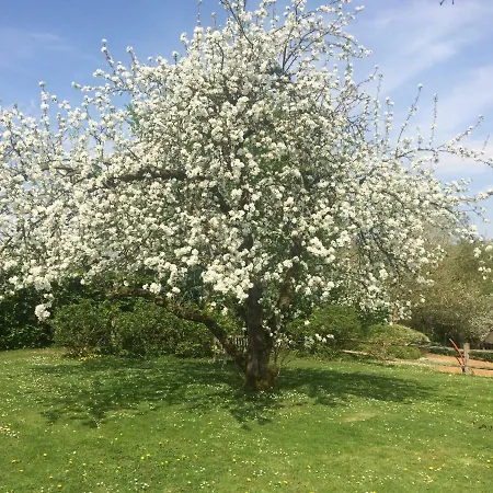 Bed & Breakfast Le Jardin Des Sources La Hulpe
